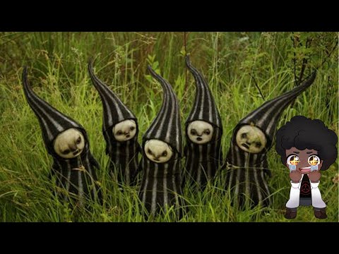 Suffering for the entertainment of others - SCP 1956