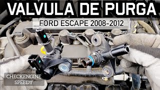 Cómo cambiar la Válvula de purga del canister Ford Escape 2008-2012