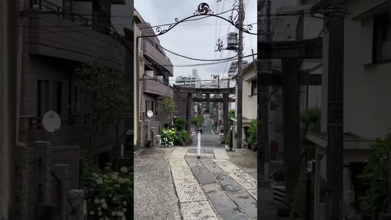 YouTube Short thumbnail