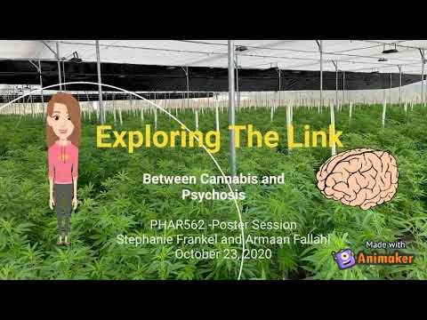 Cannabis and Psychosis, what's the link?