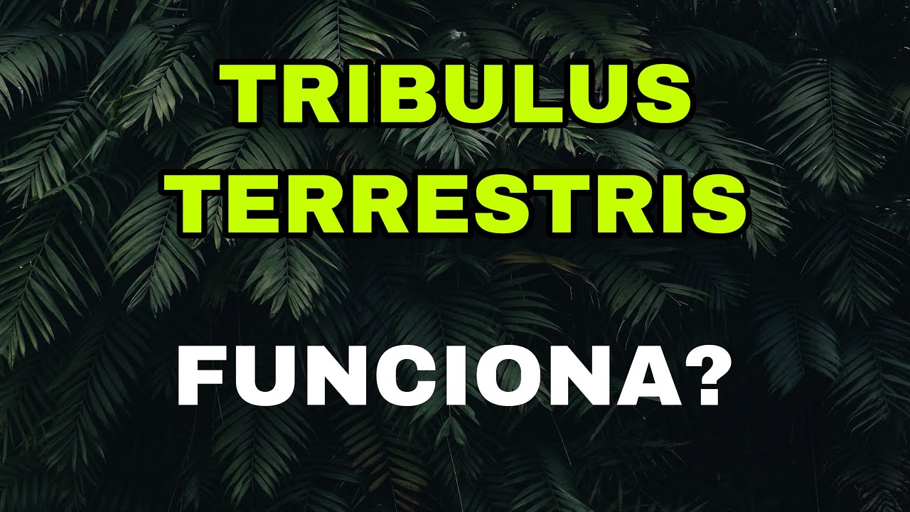 Does Tribulus Terrestris Really Work? Benefits? Uses?