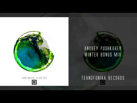 Andrey Pushkarev - From Ambient to Dub 2015 (Winter Bonus Mix - Sample)