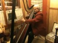 Beastly harpist playing free bird! 