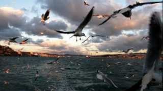 TOM JONES....SPANİSH  EYES.wmv