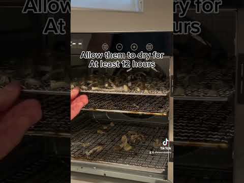 How To Dehydrate Mushrooms #mushroomharvest #mushroom #tutorial