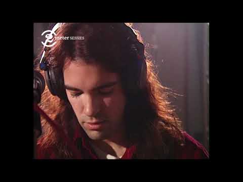 The Posies - Flavor Of The Month (Live on 2 Meter Sessions, 1993)