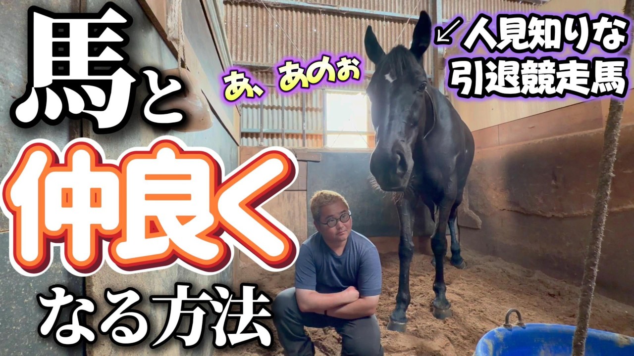 人見知りな馬と仲良くなる方法とは…。よくやりがちなあの行動は実はNGだったりします。【ツルマルボーイ様のシモベ】