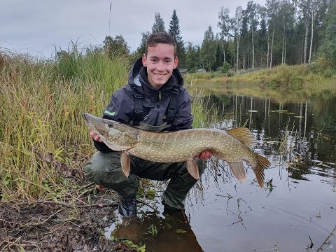 Pike fishing with Hidde and Dimitri - Hauenkalastus - Kalastus - Spintube -