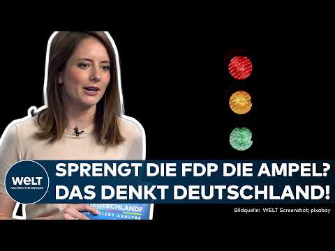 BRANDENBURG: Ampel-Aus als Wahlergebnis? Sprengt die FDP die Koalition? Das denkt Deutschland