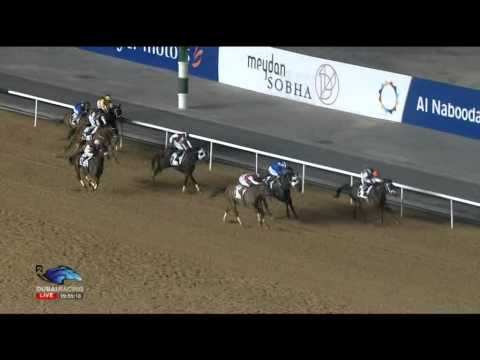 29.01.2015 Meydan (Dubai/UAE) 3.Race EGA Billet Trophy - Handicap 1.600 m
