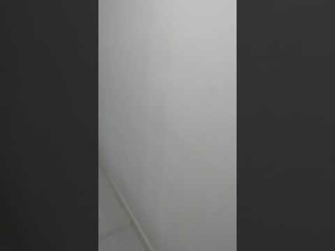 Magnífico apartamento 3 quartos ( alto padrão)