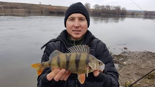 Ловля сама на малька