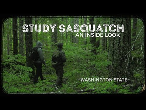 THE TALL ONES and Study Sasquatch