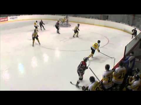 HC Technika - HC Moravské Budějovice 2005 (29.2.2016)