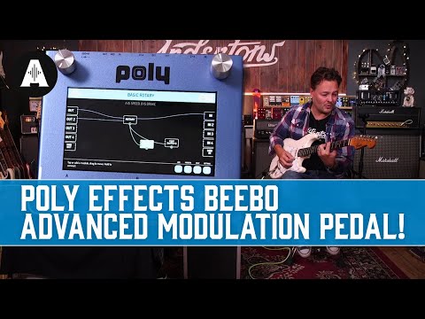 Poly Beebo - Blue imagen 3