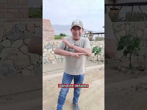 Ya se esta viviendo la NAVIDAD AQUÍ 🌲🎅🏼