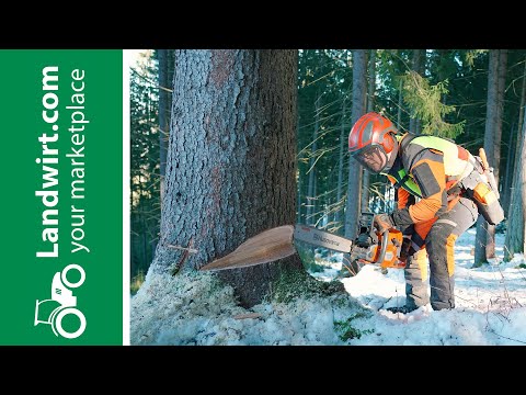 Starkholzernte im Murtal | landwirt.com