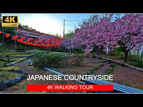 Japan Early Cherry Blossoms, 2024 - 4K Walk Around