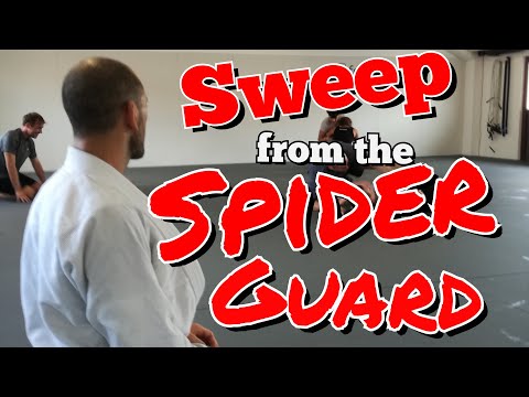 Simple and fancy Sweep from the Spider Guard
