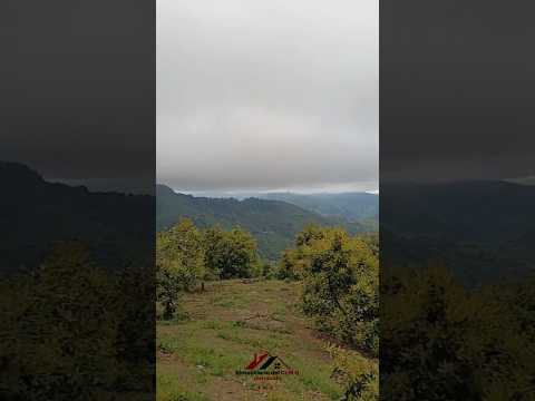 [FINCA]Venta Finca en Pijao. Quindío - Colombia COD: 9360612