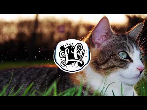 Fredji ft. Arcade - Ocean [NCS (NoCopyrightSound) Learner's Clain]