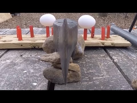 Splitting 22 Bullet to Explode Eggs & Shotgun Shells