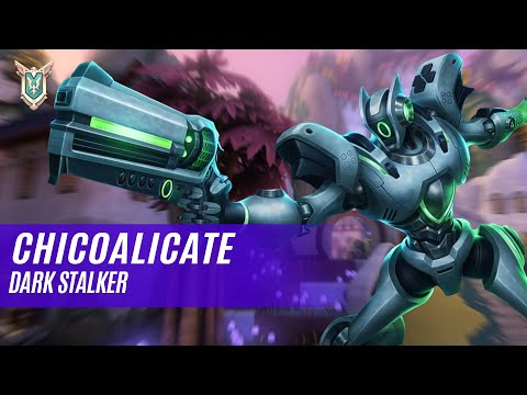 CHICOALICATE ANDROXUS PALADINS COMPETITIVE (MASTER) DARK STALKER