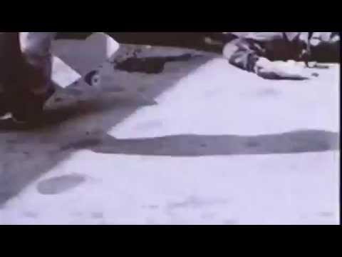 Peaking Lights  Breakdown SD