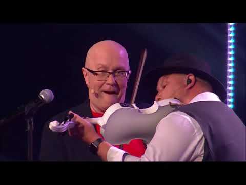 THE SWINGERS - Ochy Chernyje