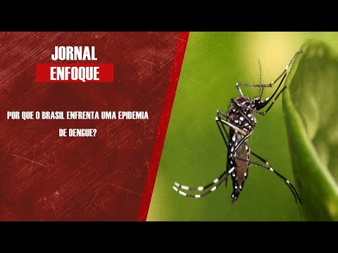 Por que o Brasil enfrenta uma epidemia de dengue?