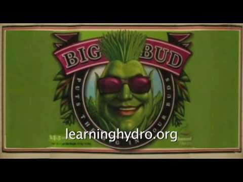 Big Bud Advanced nutrients to maximize hydroponic blooms