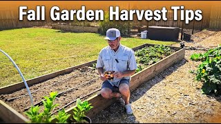 September Garden Tour - What’s Growing for Fall Harvest 🌻