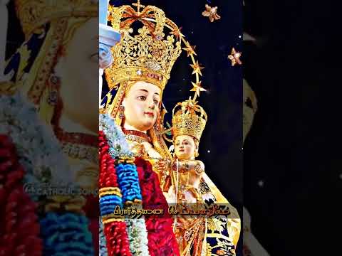 Amma Enthan Amma|RC Tamil Christian song WhatsApp status#catholictamilsong