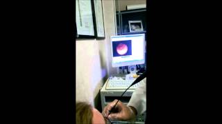 Apophys - Vocal research (extended version)