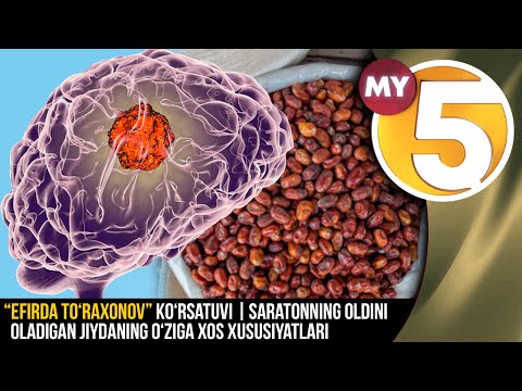 âEfirda Toâraxonovâ ko'rsatuvi | Saratonning oldini oladigan jiydaning oâziga xos xususiyatlari