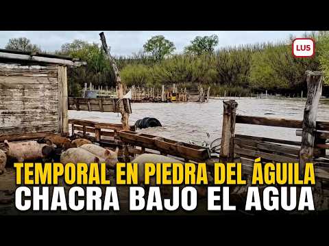 TEMPORAL e INUNDACIONES EN PIEDRA DEL ÁGUILA
