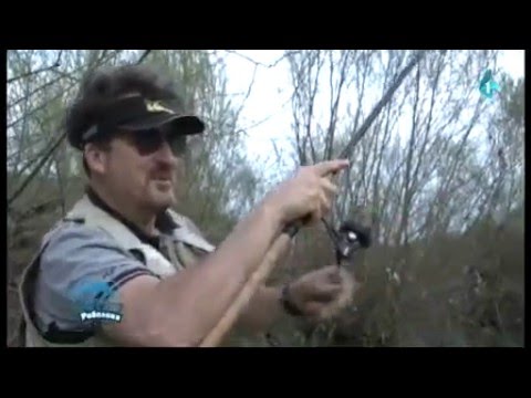 Feederom na Drini - Goran Radović Gica - Čari ribolova