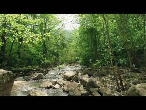 Relaxing Music with Healing River Sounds - 1 Hours!!!