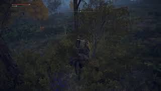 初見独り言プレイ。侍（samurai ）が行く。ERDEN RING（エルデンリング） part 9