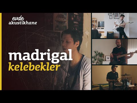 Madrigal - Kelebekler / #EvdeAkustikhane