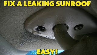 Sunroof leaking? Quick and easy fix!