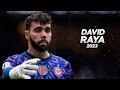 David Raya - Modern Goalkeeper - 2023ᴴᴰ