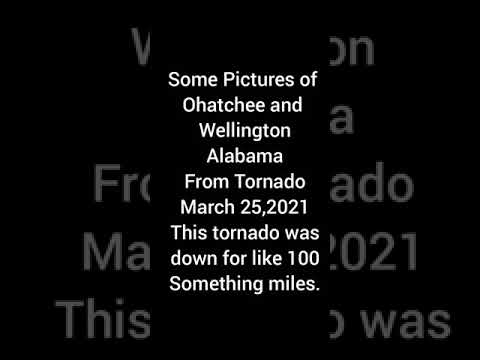 Some damage from Tornado/Ohatchee/Wellington AL