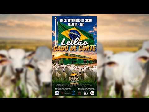 LEILÃO GADO DE CORTE ESTRELA DO AGRO LEILÕES  FAINA-GO 30/09/2026 | Leilão ao Vivo - Leilão de Gado