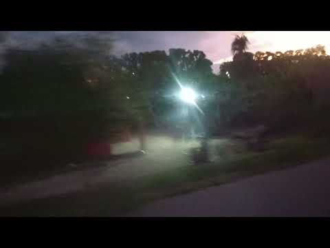 El caracoli. Municipio Colón Estado Zulia Venezuela 🇻🇪. 17/10/2025. 