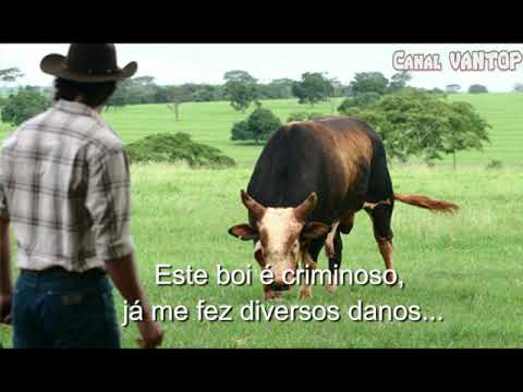 Boi Soberano - Tião Carreiro e Pardinho