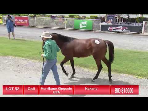 2021 Yearling Sales - Brisbane