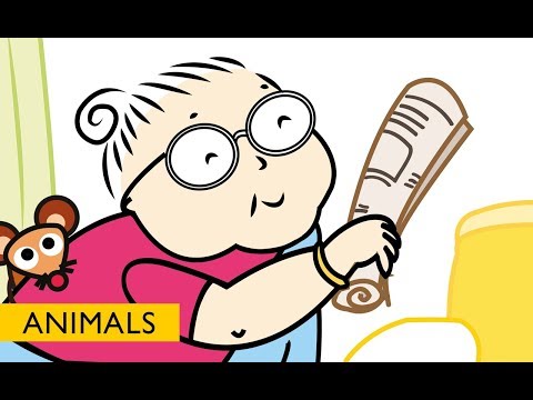 Funny Stories for Children: Mouse in the House