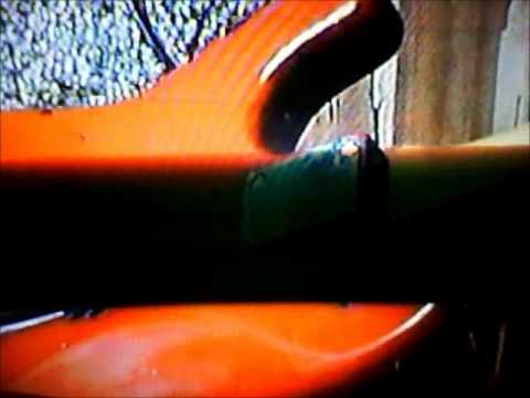 captive.wmv