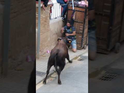 Los toros solo embisten en las pantallas de cinco televisiones autonómicas